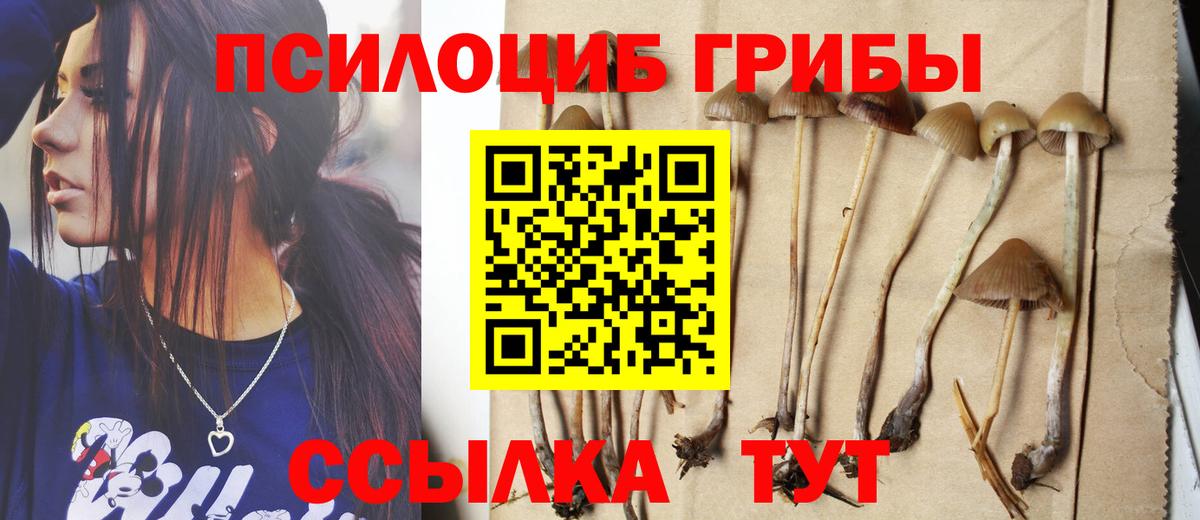 Асбест  Псилоцибиновые грибы мухоморы  Вход с VPN 